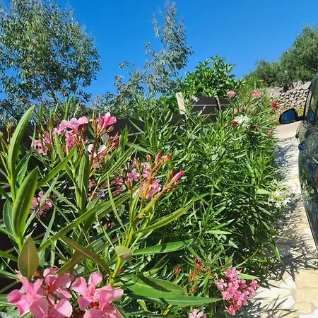 Dom wakacyjny Maneni *