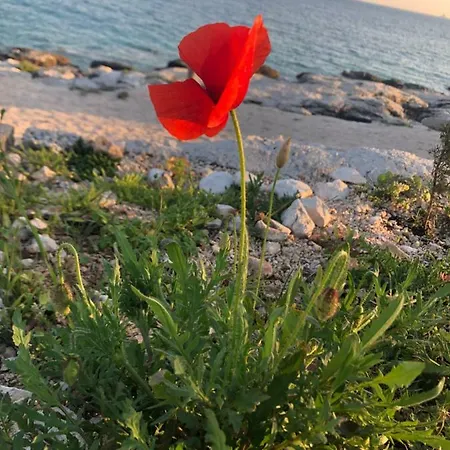 Hébergement de vacances Maneni *